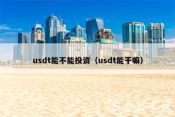 usdt可以投资吗（usdt能做什么）