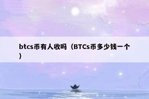 有没有人接受btcs币（一个btcs币多少钱）