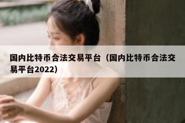 国内比特币合法交易平台（国内比特币合法交易平台2022）