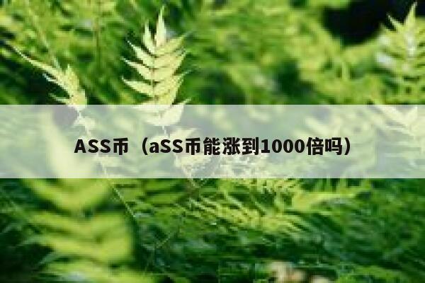 ASS币（aSS币能否涨到1000倍）