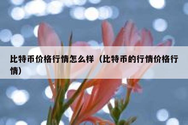 比特币现金今日价格多少美金_比特币怎么提现美金_比特币钱包提币要多久