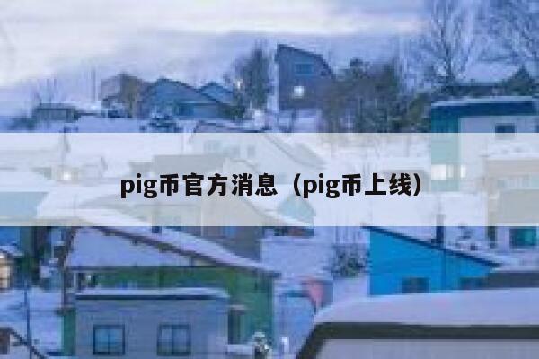 PIG猪币最新跌价，这个币有实际价值吗？