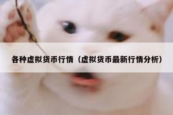 近年来，虚拟货币的价格频繁暴涨暴跌。 加密货币市场有未来吗？