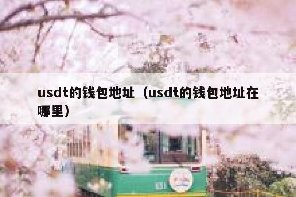 usdt的钱包地址（这里是usdt的钱包地址）