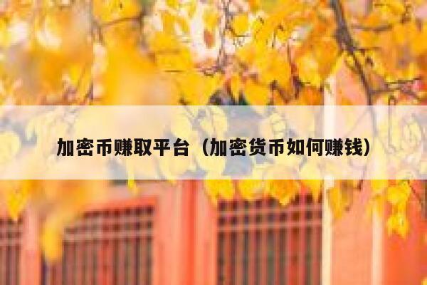 加密货币赚钱平台（加密货币如何赚钱）