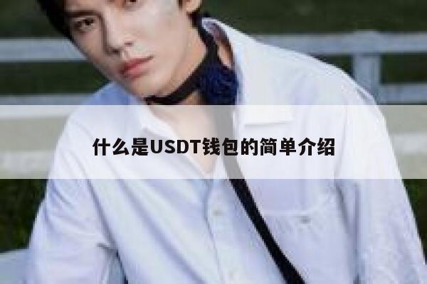 100usdt 简单介绍什么是USDT钱包