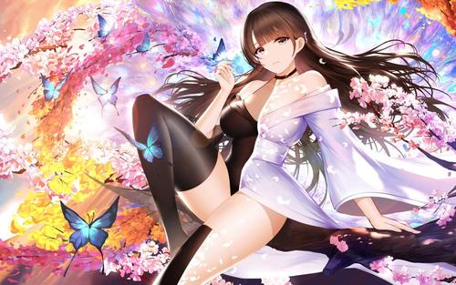 二次元美女破解手游（二次元手游破解版）
