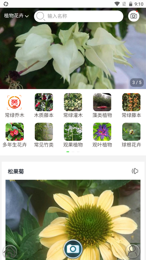 拍照识别植物的<a href=https://www.bangqike.com/caijing/130385.html target=_blank class=infotextkey>app</a>(拍照识别植物<a href=https://www.bangqike.com/caijing/130385.html target=_blank class=infotextkey>app</a>排行榜)